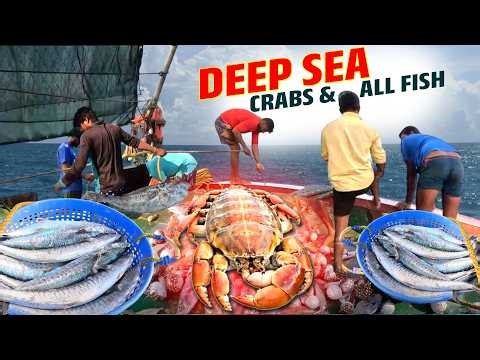 Amazing Fish Catch! Huge Red Snapper Haul 🐟🔥| Huge Sea Fishing Catch | Full Boat of Fish | #KadalTV