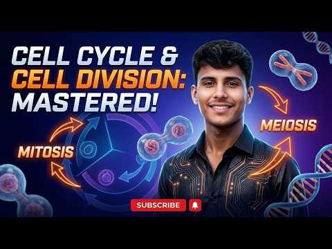 Cell Cycle & Cell Division Class 11 | Full Chapter One Shot 🔥 | NCERT + PYQs + NEET 2026