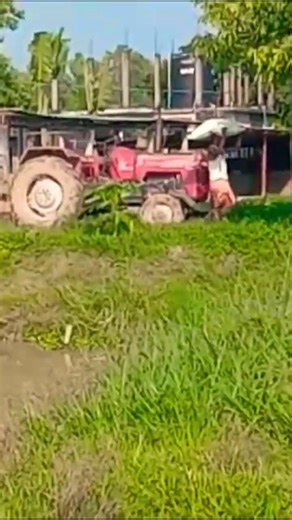 Fish Feed Truck Unload | Heavy Load #shorts #fishing