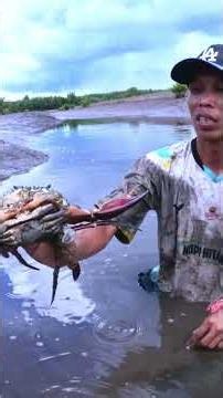 Finding a Male Crab That Has Fertilized a Female Crab