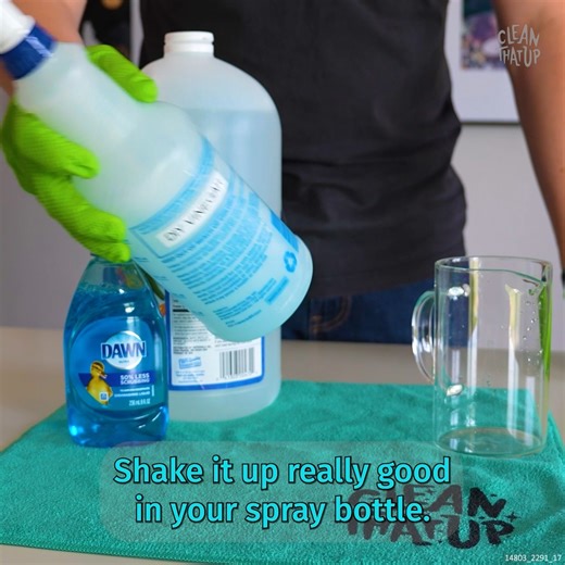 2 Homemade Cleaners That Work on Everything | Clean That Up