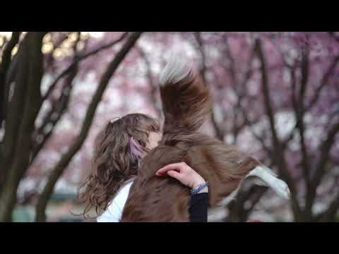 Taynari- one year border collie dog tricks