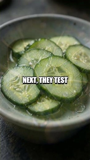 Tiny Home Lab explores Cells Osmosis and Mini Wind Power