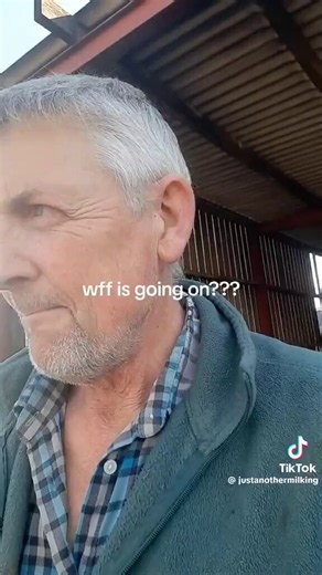 "I’ve grown crops on this land for decades, and this year it just stopped."