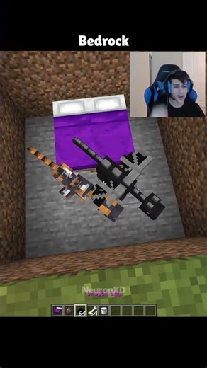 Minecraft Java Vs Bedrock! Pt-2