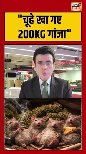 "चूहे खा गए 200KG गांजा" | #rat #viralnews #shorts