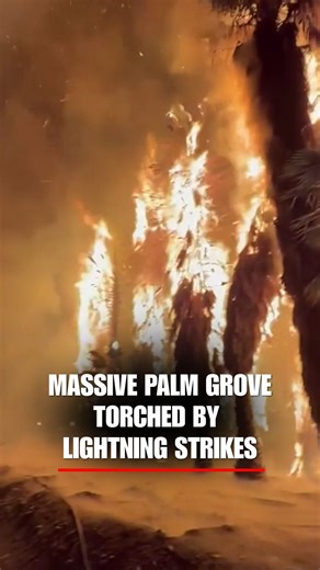 SPARKS FLY: A series of lightning strikes ignited a fire in a grove of palm trees in San Diego. The fire spread to around two acres before it was contained. Fire officials say nobody was hurt. | Fox News