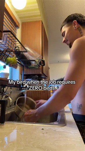 Penny Stresses Me Out — Quaker Parrot Behavior When You Don’t Want Noise