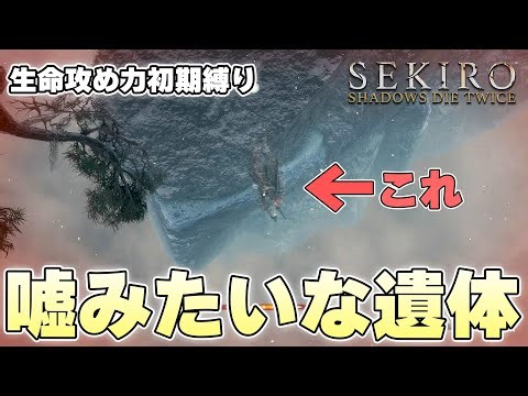 日の本史上、最もうつくしい姿勢で人生に幕を下ろした生命がこれ【SEKIRO:SHADOWS DIE TWICE 実況】