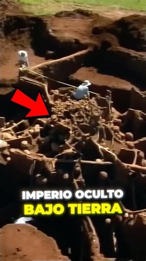 They found an abandoned ant colony 🐜 🤯