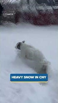 20+ inches of snow hit Syracuse, here's how Central New Yorkers enjoyed it ❄️