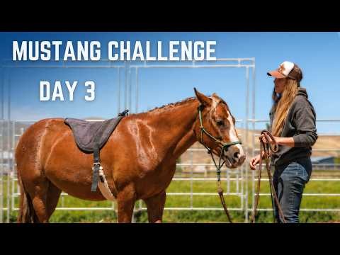 Bareback Pad Is On! Day 3 Gentling Our Wild Mustang Horses