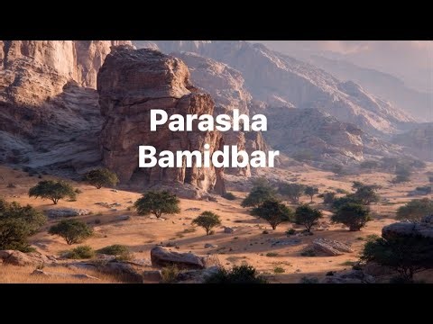 YMCM Parasha: Bamidbar 2026