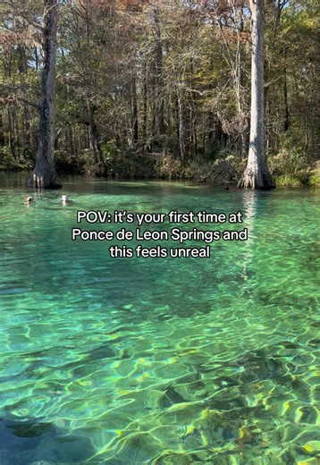 Discover the Unbelievable Colors of Ponce de Leon Springs