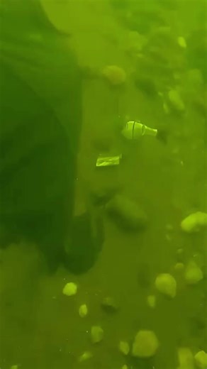 Exploring The Wonders of Scuba Diving Adventures