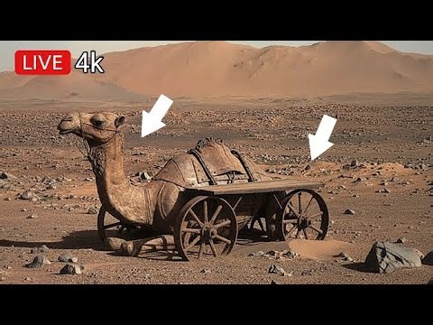 NASA Perseverance Captured Mars Latest Images | Mars photo | Mars 4k Footage | Mars Panoramic View