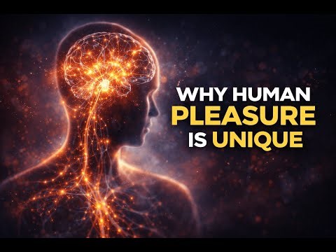 The Neurobiology of Orgasm – Why Human Pleasure is So Unique