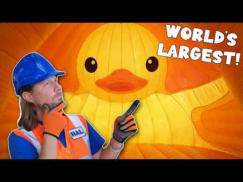 World's Largest! Rubber Duck and more | Handyman Hal Fun Adventures