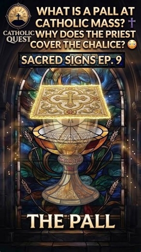 What Is a Pall at Catholic Mass? ✝️ Why Does the Priest Cover the Chalice? 😳 | Sacred Signs EP. 9