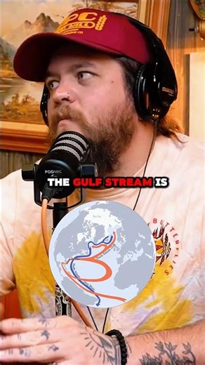 Is the Gulf Stream Collapsing? 🌊😳