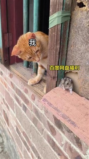 天哪，百度网盘的活动又开始啦，赶紧点击下方链接看看吧！
