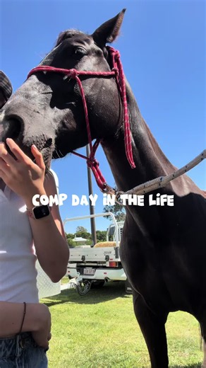 YEAH THAT CANTER TRANSITION… 😱🙈😂 Come and spend a day with me at my comp!! Dressage went relatively well so come back to see the chaos in the jumping phases tomorrow 🫶🏼😱😉 #equestriansoftiktok #horsesoftiktok #equestrianlife #equestrianreality #horsecompetition
