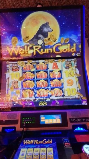 I played Wolf Run Gold and this happened... #slots #gambling #casino