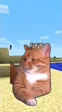 Meme Cats and Dogs: The Pets' House is Missing! part 114 in Minecraft