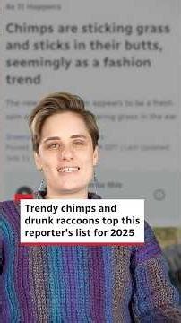Trendy chimps and drunk raccoons top this reporter’s list for 2025