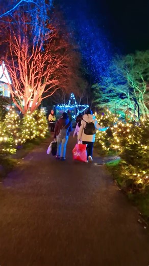 Walking Through Springfields Winter Wonderland 🎄❄️