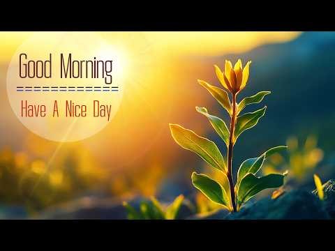 BEAUTIFUL MORNING MUSIC - Wake Up with Happiness & Harmony - Morning Meditation Music For Relaxation