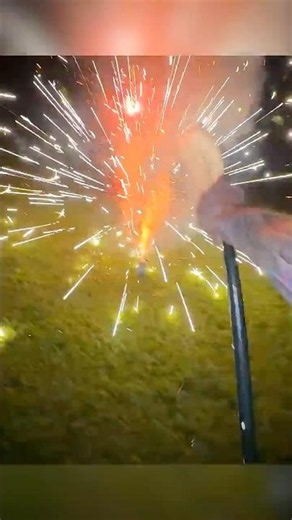 Someone Lit FIREWORKS all over our Backyard!!