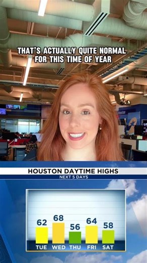 Beautiful winter week in Houston