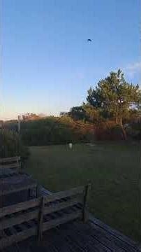 Rocha, Uruguay glad to see the heat finally broke with a return to mid 20s high teens over night