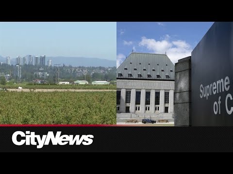 Supreme Court dismissal of Aboriginal Title case could impact Cowichan appeal