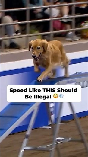 Speed Like THIS Should Be Illegal