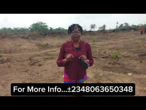 First Hybrid Coconut Farm Land in Nigeria located at OGUN STATE. Adaba coconut Farm Land.