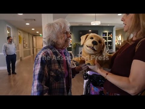 Meet the robotic dog designed for seniors living with dementia