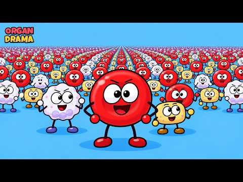 Blood Cells Explained | An Interview with the Blood Crew