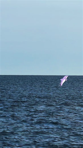 Escursioni in barca a Leuca con Leucaduemari @Click&Boat @Holidoit @GetYourGuide @Tripadvisor