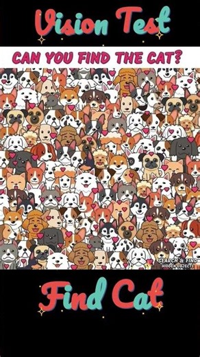 Find Cat 😺