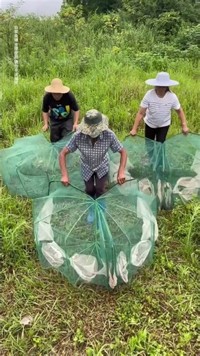 They threw some "heavy-tasting" bait into the trap, which attracted a real underwater behemoth.