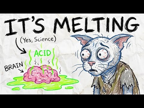 Why Being Poor is Battery Acid for Your Brain (Yes, Science)