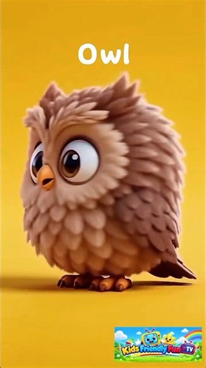 🔤✨ **LEARN LETTER O WITH 5 EASY WORDS!** 🦉🍊 #shorts