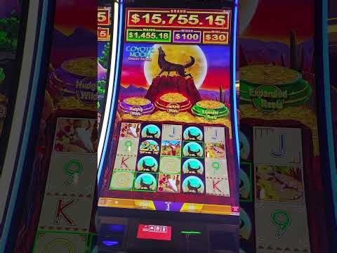 Haywire feature twice!