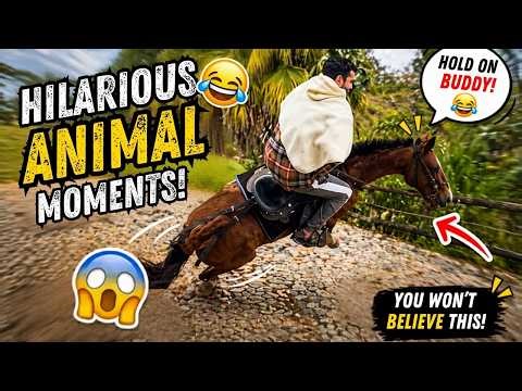 Hilarious Animal Moments | Try Not To Laugh 😂 || PETASTIC 🐾