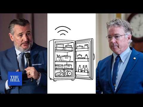 ‘Spy fridges’ spark GOP spat between Ted Cruz and Rand Paul on Senate floor