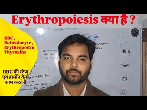 #Erythropoiesis ! RBC stage ! Reticulocyte ! Erythropoiesis क्या है? 