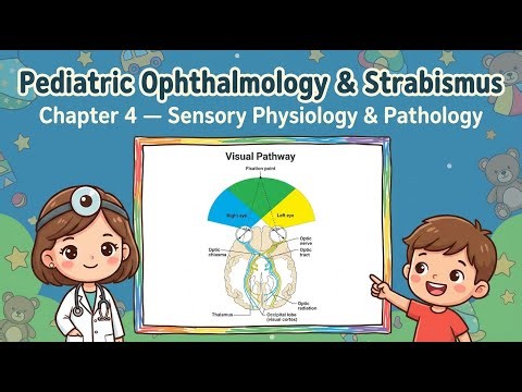 Pediatrics and Strabismus Chapter 4 Sensory Physiology and Pathology