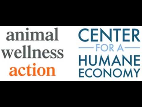 Save the Shoreline & the Animals